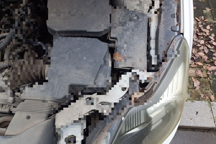 Used Ford Focus 2013 Hatchback Classic 1.8L Manual Base Model Engine Bay Left
