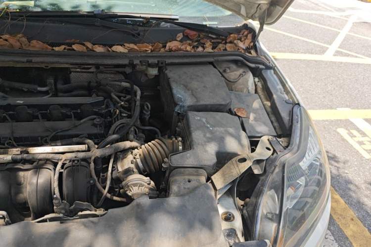 Used Ford Focus 2013 Hatchback Classic 1.8L Automatic Base Model Engine Bay Left