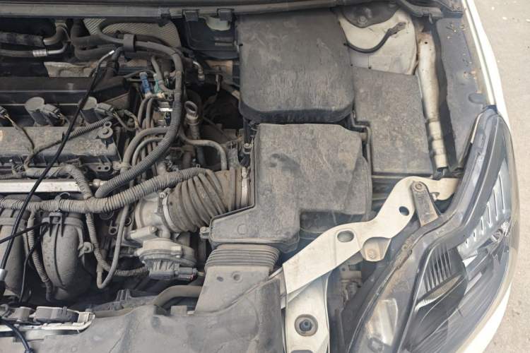 Used Ford Focus 2013 Hatchback Classic 1.8L Automatic Millionth Anniversary Edition Engine Bay Left