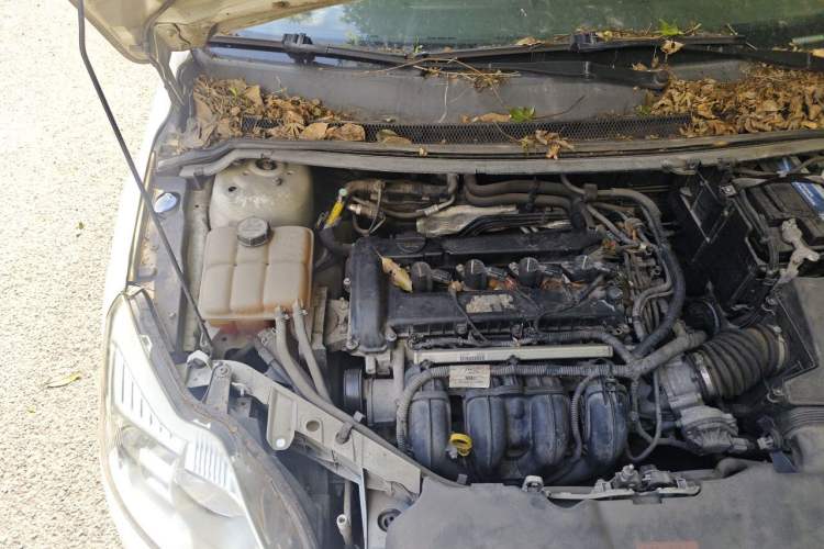 Used Ford Focus 2013 Sedan Classic 1.8L Manual Base Model Engine Bay Right