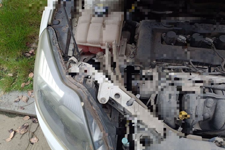 Used Ford Focus 2013 Hatchback Classic 1.8L Manual Base Model Engine Bay Right