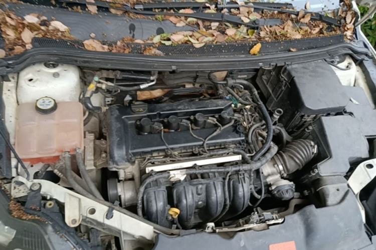 Used Ford Focus 2013 Hatchback Classic 1.8L Automatic Base Model Engine Bay