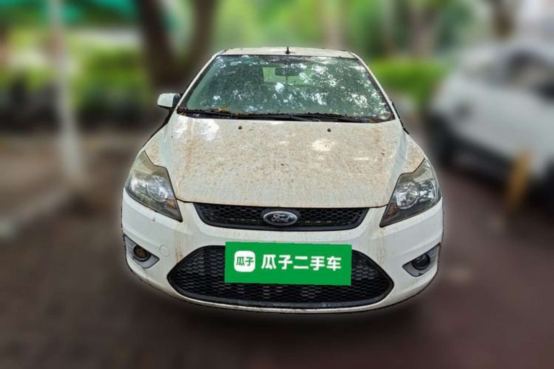 Used Ford Focus 2013 Hatchback Classic 1.8L Automatic Base Model Front