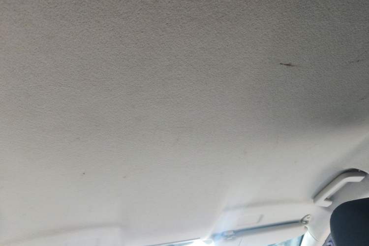 Used Ford Focus 2013 Hatchback Classic 1.8L Automatic Base Model Headliner