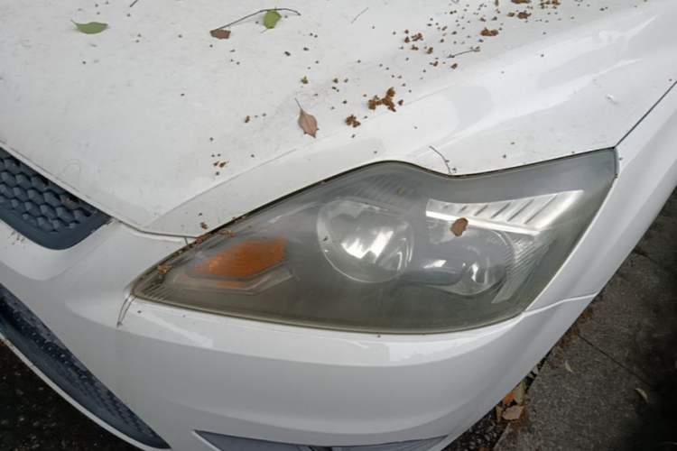 Used Ford Focus 2013 Hatchback Classic 1.8L Automatic Base Model Left Front Headlight