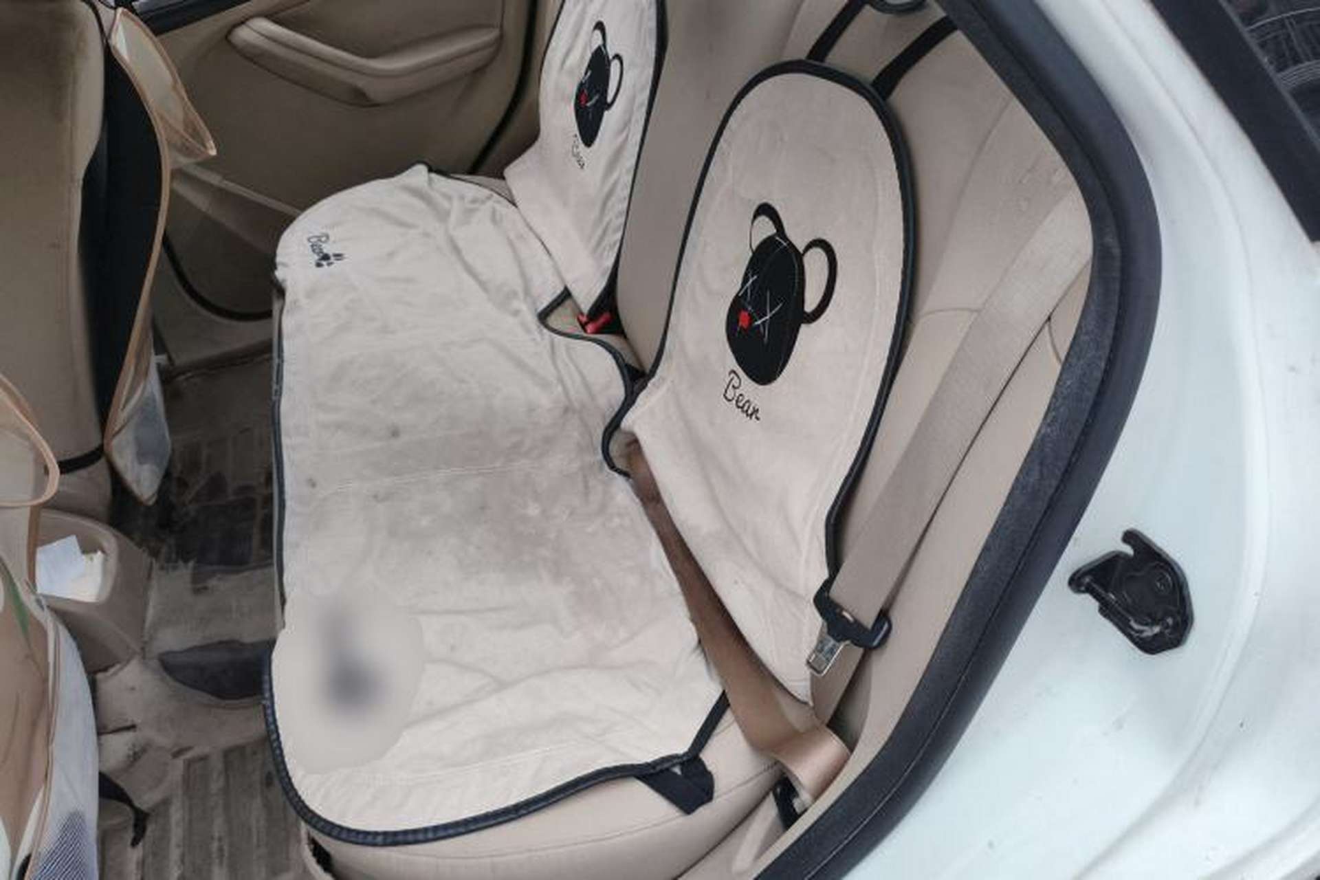 Used Ford Focus 2013 Sedan Classic 1.8L Automatic Base Model Left Rear Seat