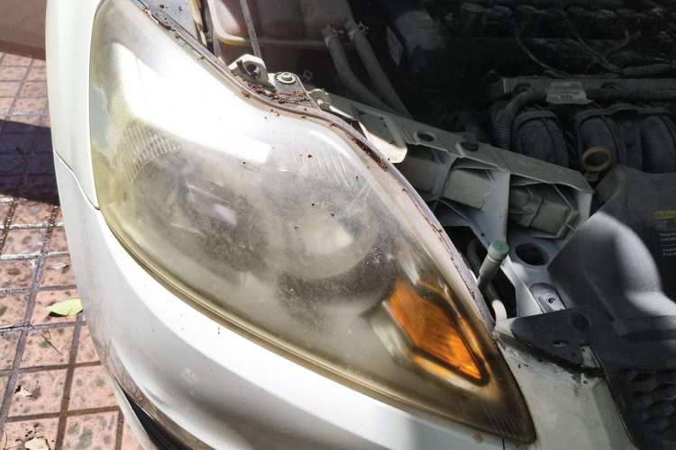 Used Ford Focus 2013 Hatchback Classic 1.8L Automatic Base Model Right Front Headlight
