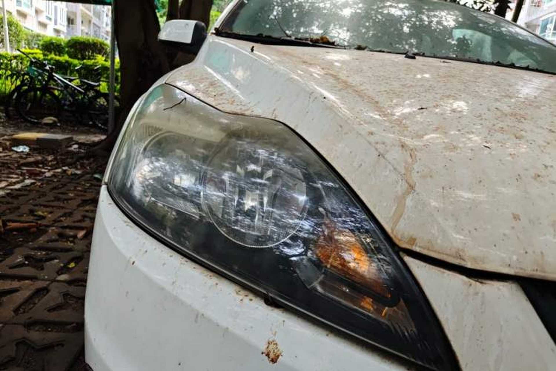 Used Ford Focus 2013 Hatchback Classic 1.8L Automatic Base Model Right Front Headlight