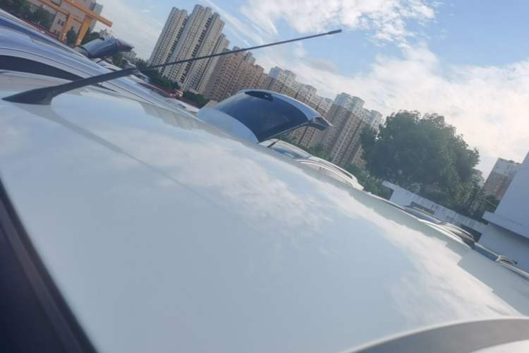 Used Ford Focus 2013 Hatchback Classic 1.8L Automatic Base Model Roof