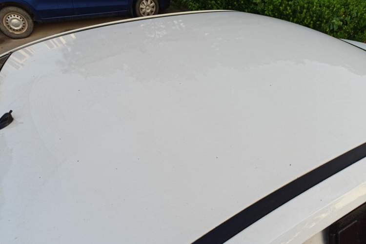 Used Ford Focus 2013 Sedan Classic 1.8L Automatic Base Model Roof