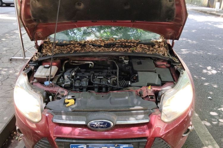Used Ford Focus 2014 Hatchback Classic 1.8L Manual in Cool White Collector's Edition Engine Bay