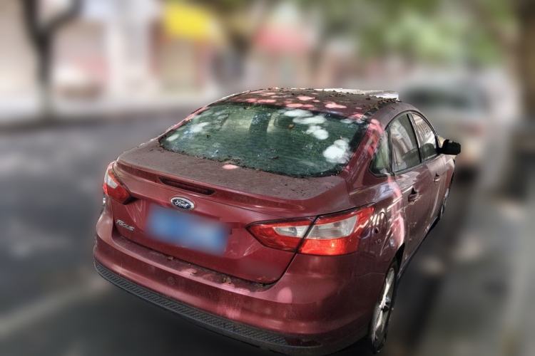 Used Ford Focus 2014 Hatchback Classic 1.8L Manual in Cool White Collector's Edition Rear Right 45 Deg