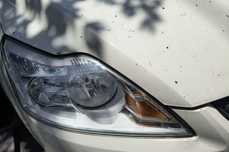 Used Ford Focus 2014 Hatchback Classic 1.8L Automatic Cool White Collector's Edition Right Front Headlight