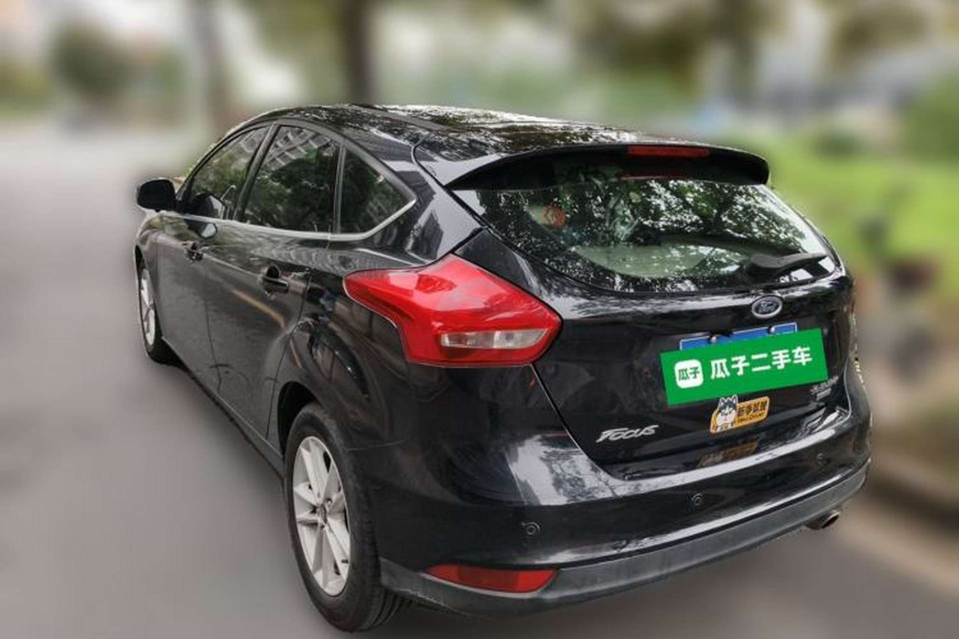 Used Ford Focus 2015 Hatchback EcoBoost 180 Automatic Elite Model Rear Left 45 Deg