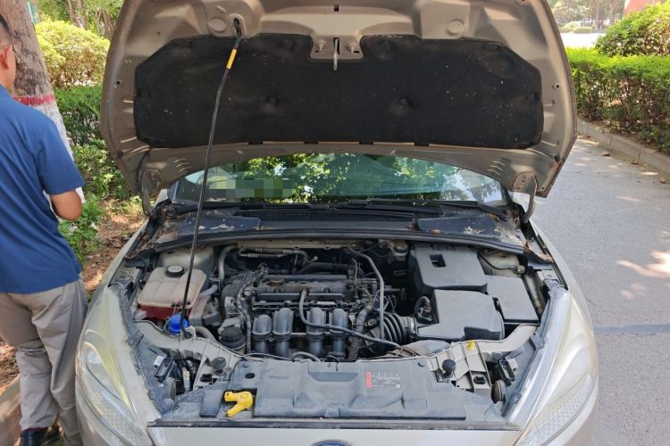 Used Ford Focus 2015 Sedan 1.6L Automatic Comfort Model Engine Bay