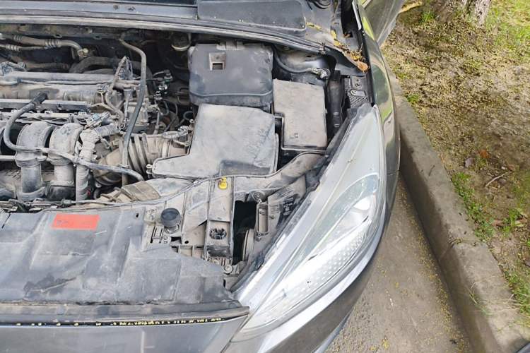 Used Ford Focus 2015 Sedan 1.6L Manual Comfort Model Engine Bay Left