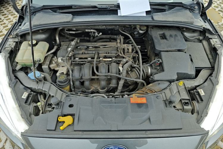 Used Ford Focus 2015 Sedan 1.6L Manual Fashion Edition Engine Bay