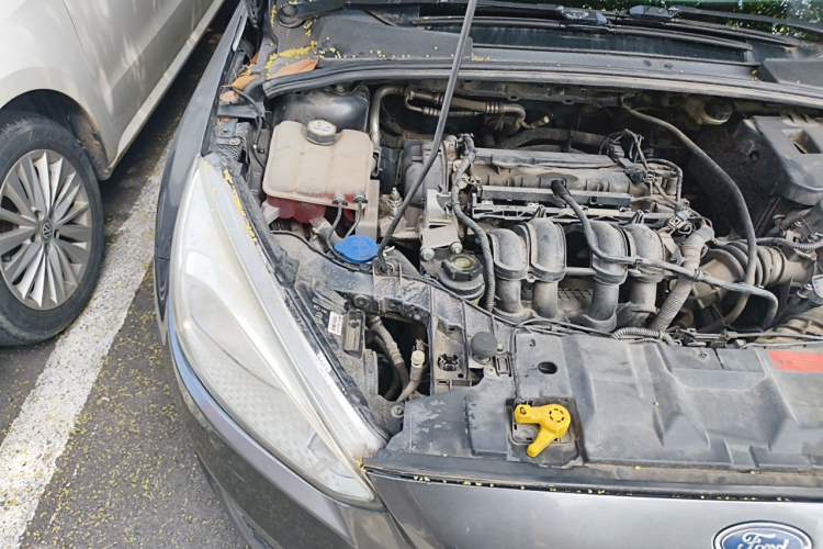 Used Ford Focus 2015 Sedan 1.6L Manual Comfort Model Engine Bay Right