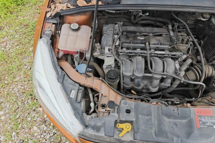 Used Ford Focus 2015 Hatchback 1.6L Automatic Comfort Model Engine Bay Right