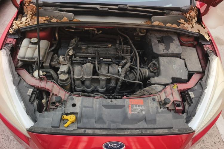 Used Ford Focus 2015 Hatchback 1.6L Automatic Comfort Model Engine Bay