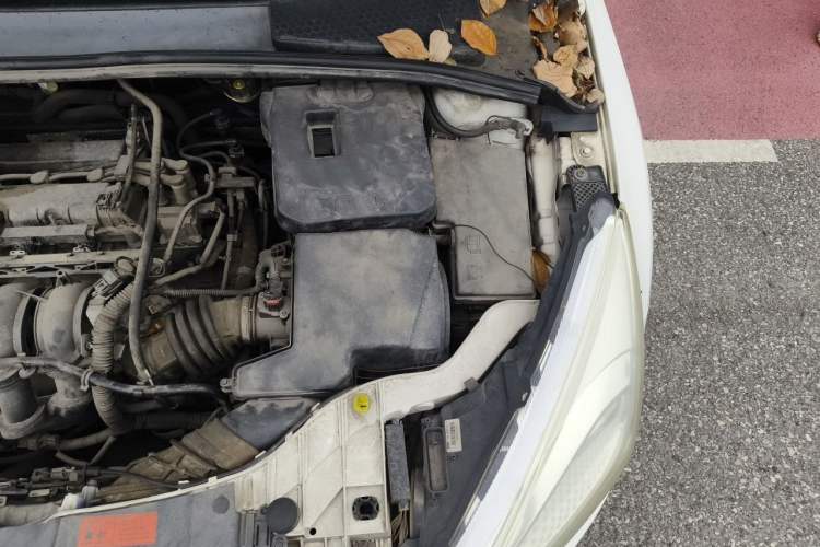Used Ford Focus 2015 Hatchback 1.6L Automatic Comfort Model Engine Bay Left
