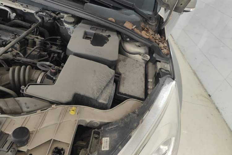 Used Ford Focus 2015 Hatchback 1.6L Automatic Comfort Model Engine Bay Left
