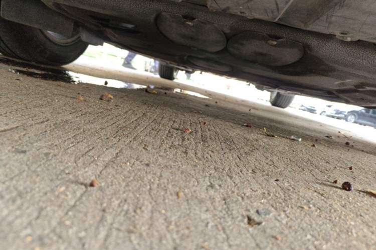 Used Ford Focus 2015 Hatchback 1.6L Automatic Comfort Model Chassis Front