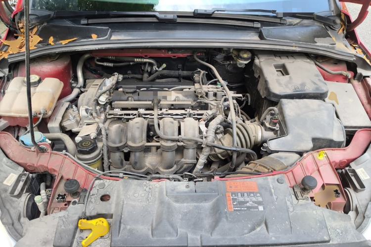 Used Ford Focus 2015 Hatchback 1.6L Automatic Fashion Edition Engine Bay