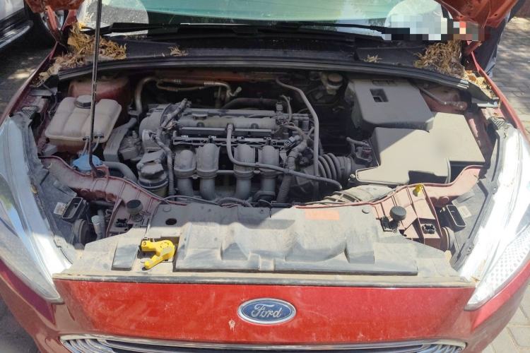 Used Ford Focus 2015 Sedan 1.6L Manual Comfort Model Engine Bay
