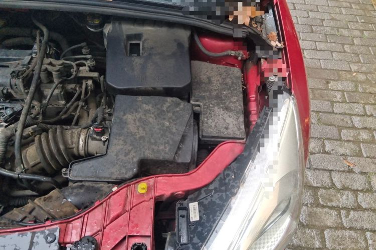 Used Ford Focus 2015 Hatchback 1.6L Automatic Fashion Edition Engine Bay Left