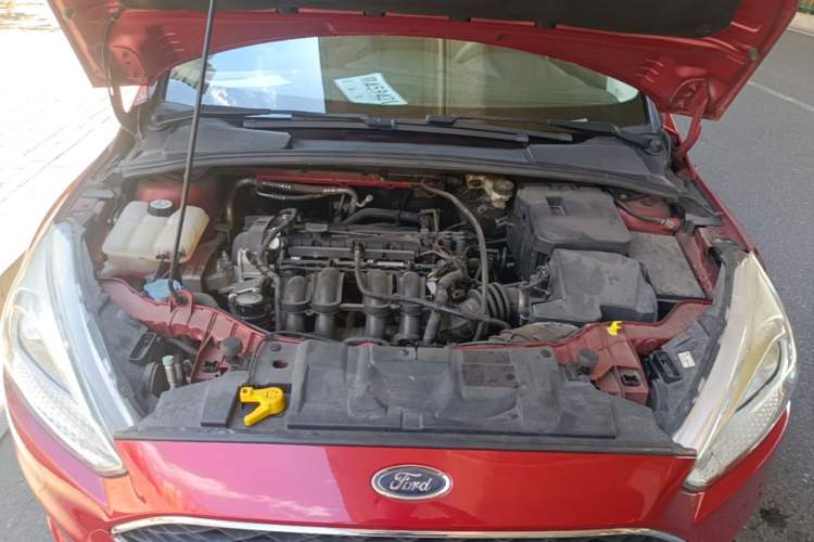 Used Ford Focus 2015 Hatchback 1.6L Automatic Fashion Edition Engine Bay