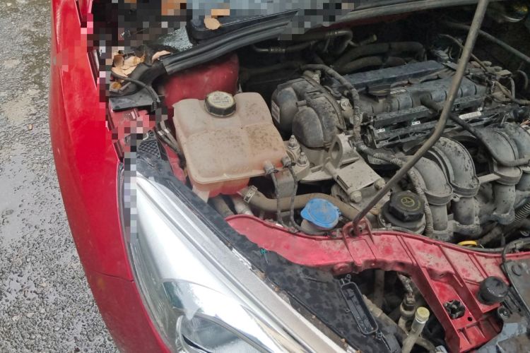 Used Ford Focus 2015 Hatchback 1.6L Automatic Fashion Edition Engine Bay Right