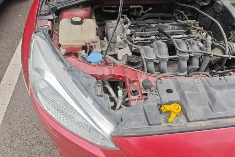 Used Ford Focus 2015 Sedan 1.6L Manual Comfort Model Engine Bay Right