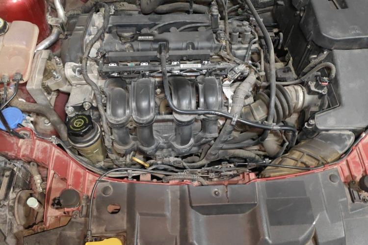 Used Ford Focus 2015 Hatchback 1.6L Automatic Fashion Edition Engine Bay