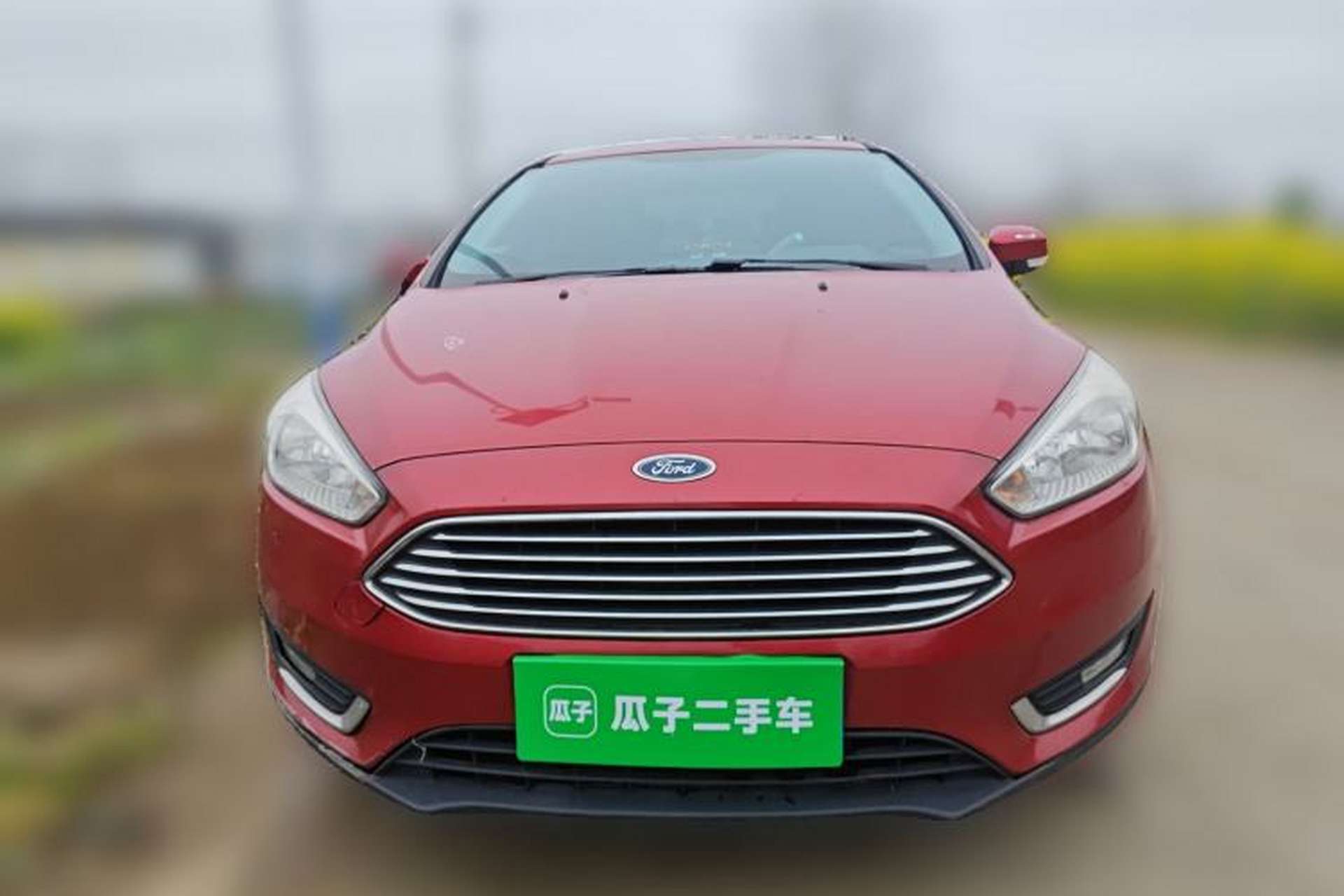 Used Ford Focus 2015 Sedan 1.6L Automatic Trend Model Front