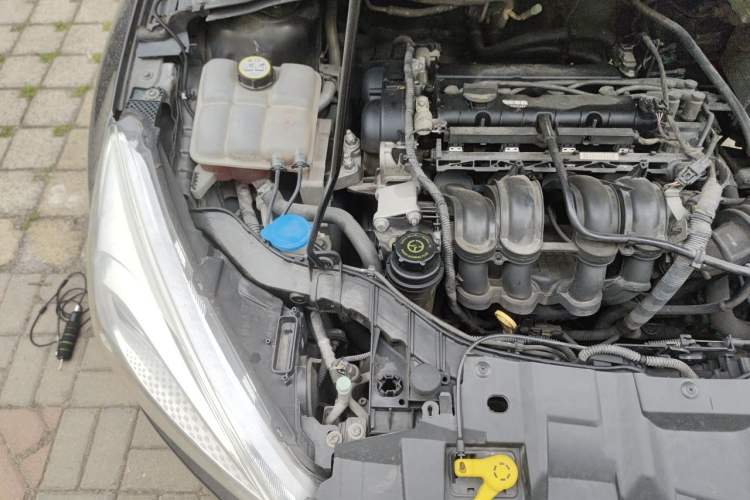 Used Ford Focus 2015 Sedan 1.6L Automatic Trend Model Engine Bay Right