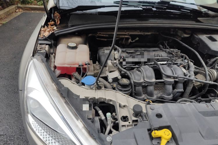 Used Ford Focus 2015 Sedan 1.6L Manual Comfort Model Engine Bay Right