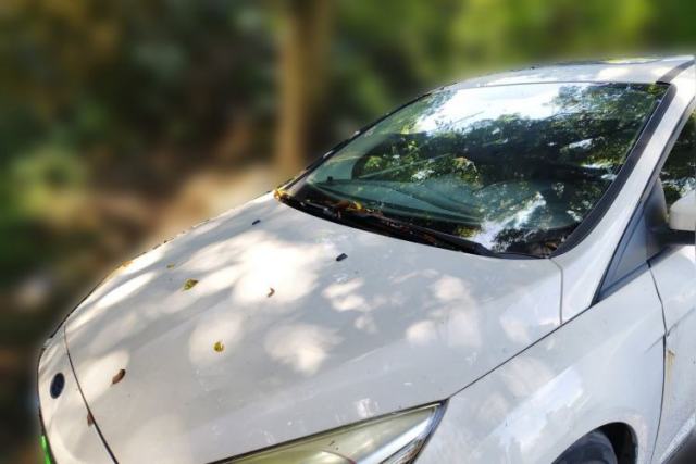 Used Ford Focus 2015 Sedan 1.6L Automatic Trend Model