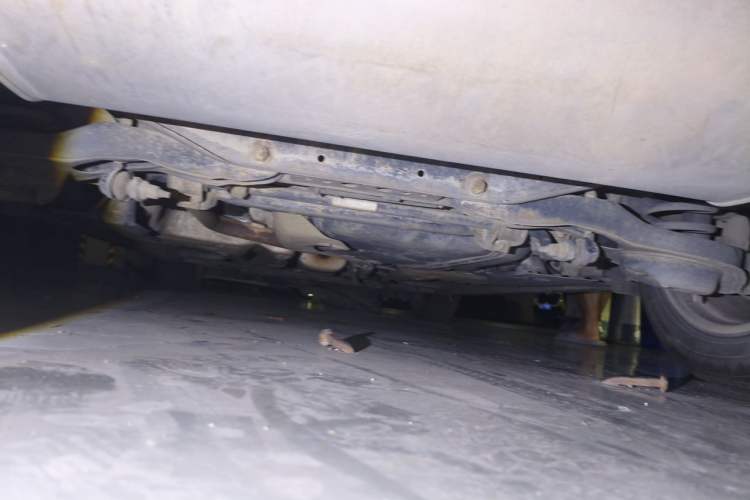 Used Ford Focus 2015 Sedan 1.6L Automatic Trend Model Chassis Rear