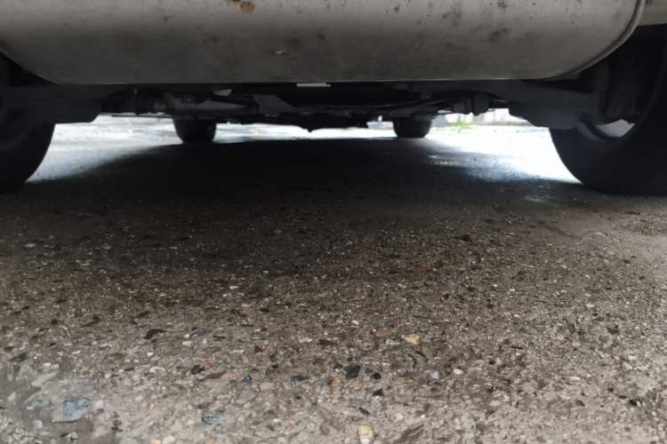 Used Ford Focus 2015 Sedan EcoBoost 180 Automatic Elite Model Chassis Rear