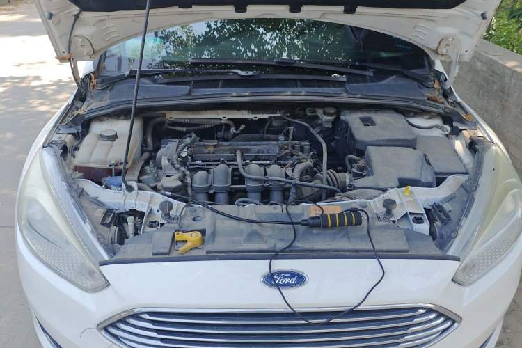 Used Ford Focus 2015 Sedan 1.6L Manual Fashion Edition Engine Bay