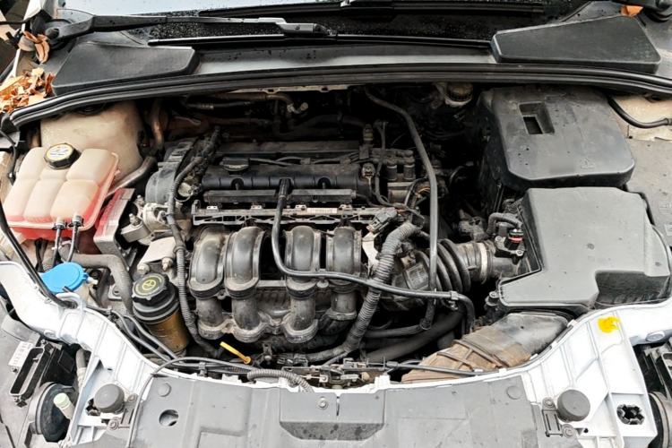 Used Ford Focus 2015 Hatchback 1.6L Automatic Fashion Edition Engine Bay