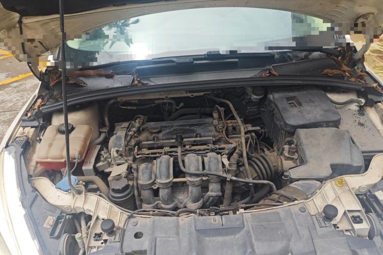 Used Ford Focus 2015 Hatchback 1.6L Automatic Fashion Edition Engine Bay