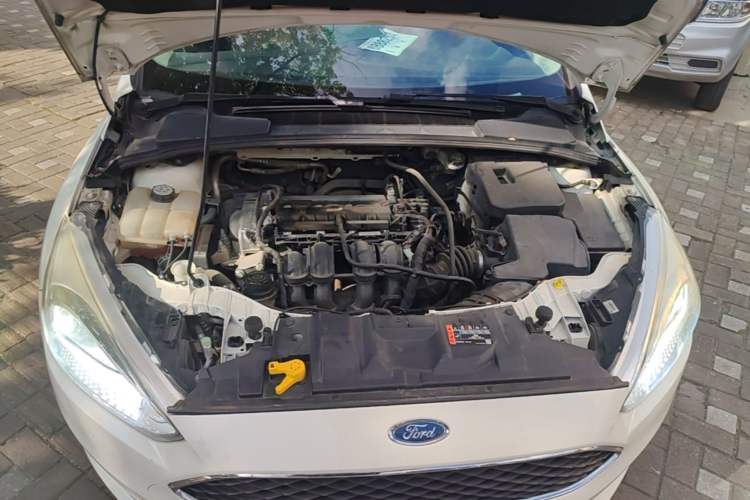 Used Ford Focus 2015 Hatchback 1.6L Automatic Fashion Edition Engine Bay