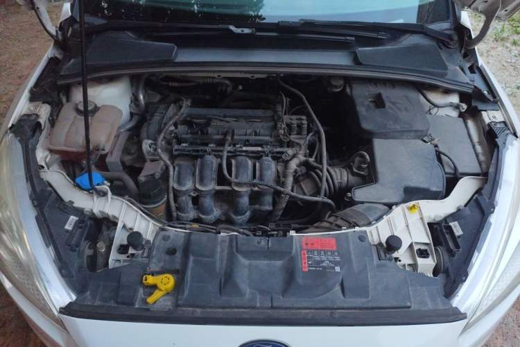 Used Ford Focus 2015 Hatchback 1.6L Automatic Fashion Edition Engine Bay