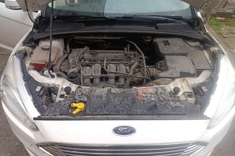 Used Ford Focus 2015 Sedan 1.6L Automatic Trend Model Engine Bay