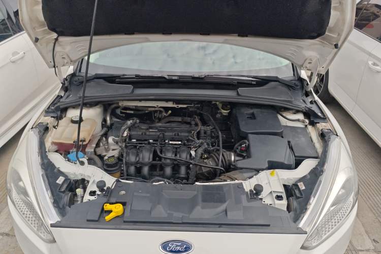 Used Ford Focus 2015 Sedan 1.6L Manual Comfort Model Engine Bay