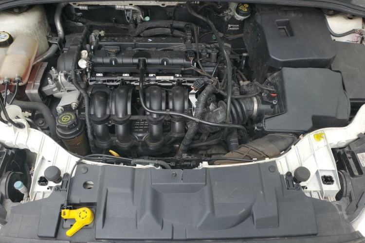 Used Ford Focus 2015 Hatchback 1.6L Automatic Fashion Edition Engine Bay