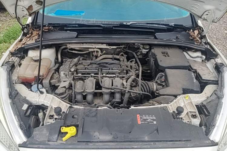 Used Ford Focus 2015 Sedan 1.6L Manual Comfort Model Engine Bay