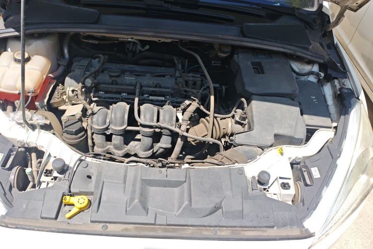 Used Ford Focus 2015 Hatchback 1.6L Automatic Fashion Edition Engine Bay